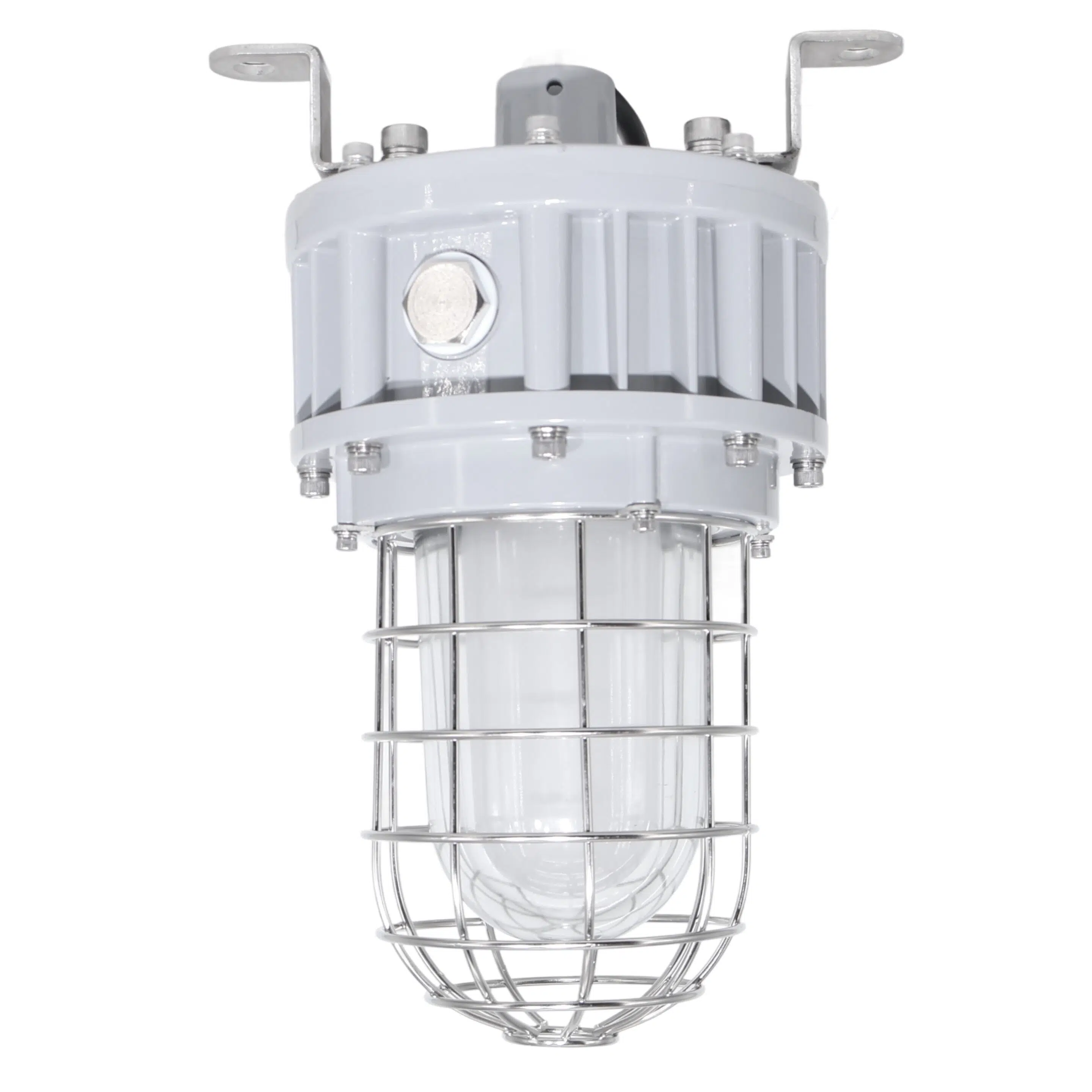 40 Watt Explosion Proof Jelly Jar Led Light 5200 Lumens Class 1 Div 1 Class 2 Div 1 5000k 100 277v Front (3)