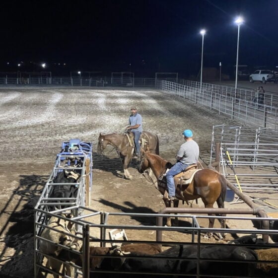 200 Watt LED Area Flood Light: lighting horse arena