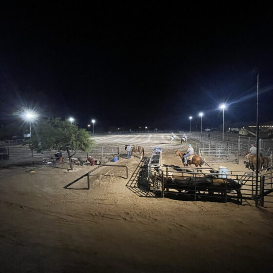 200 Watt LED Area Flood Light: illuminating rodeo arena