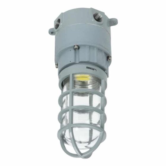 30 Watt Explosion Proof Jelly Jar LED Light: main view of surface mount