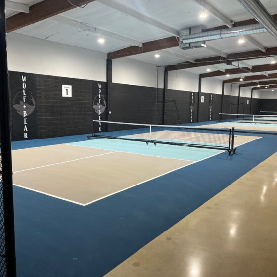 100 / 120 / 150 / 200 Watt Adjustable UFO LED High Bay: lighting a pickleball court