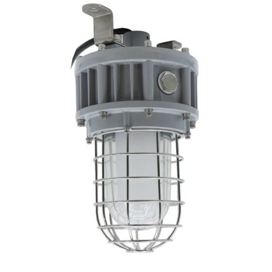 30 Watt Explosion Proof Jelly Jar LED Light: product view