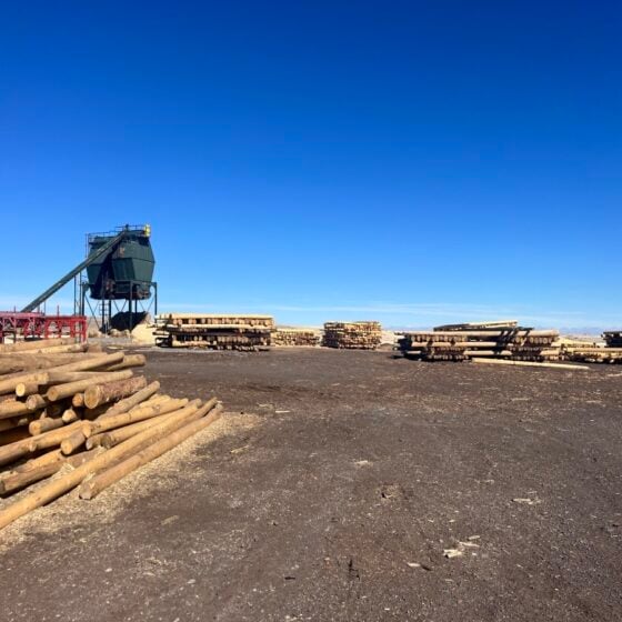 45 Foot Wood Pole: angled view highlighting pole taper