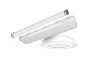 Food Grade Lights