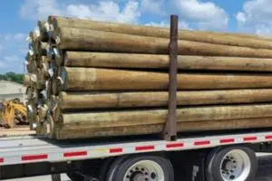Wood Utility Poles