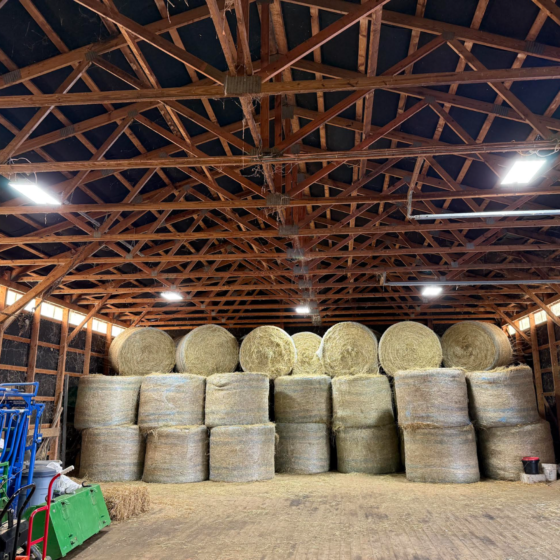 80 / 90 / 105 Watt Adjustable Linear LED High Bay: installation in barn or shed