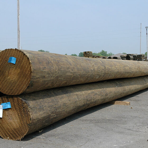 45 Foot Piling: wood pylons for sale
