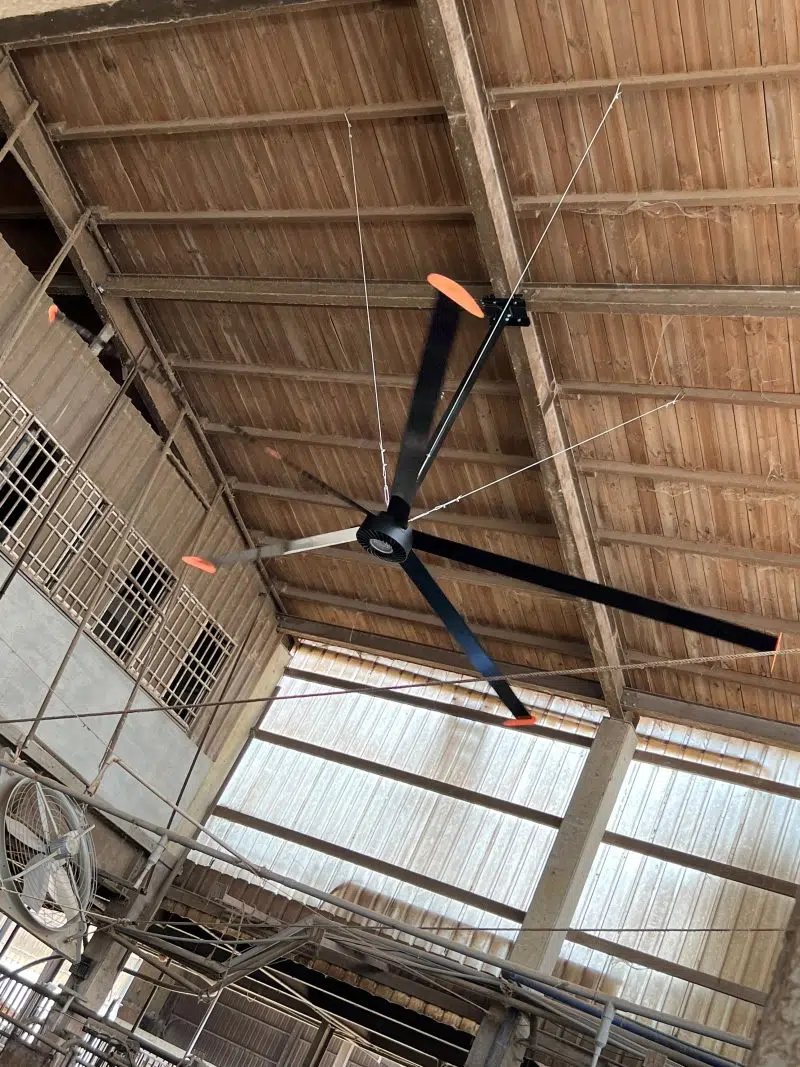 G Hvls 5b Barn