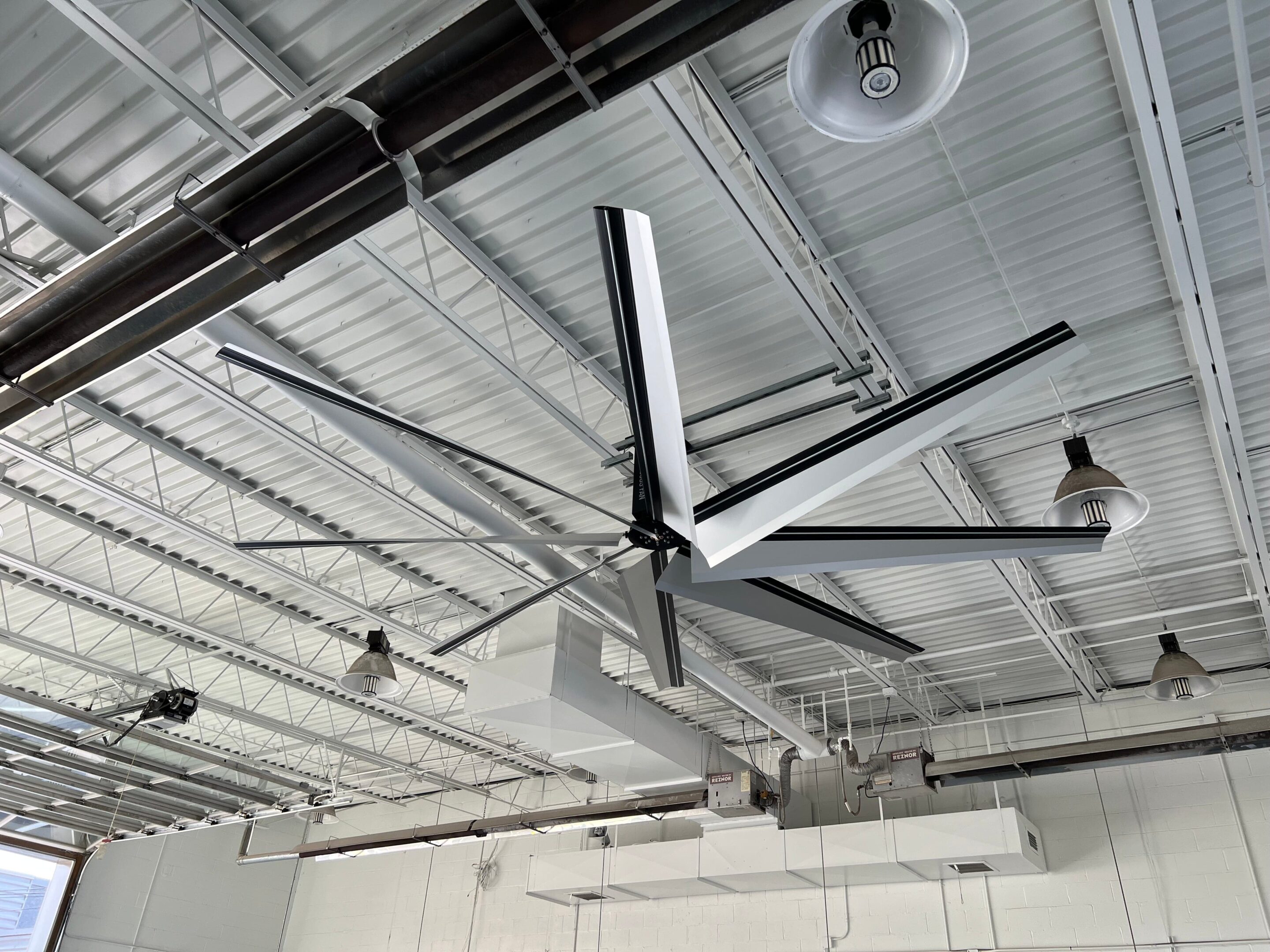 Lls Hvls Fan 16ft 8b White Warehouse
